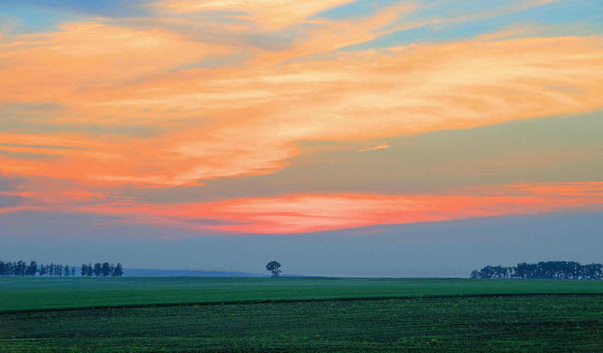 Фотография, стихотворение Василия Глуцкого