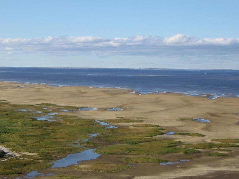 Карское море губа. Полуостров Ямал Обская губа. Обь Карское море Обская губа. Карское море Обская губа. Гыданский полуостров тундра.