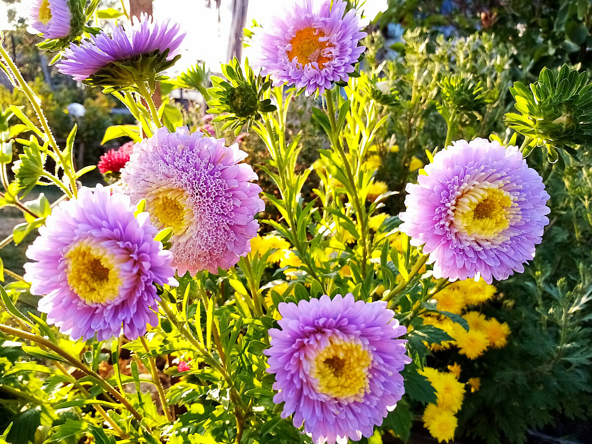 28 августа 2021 года 