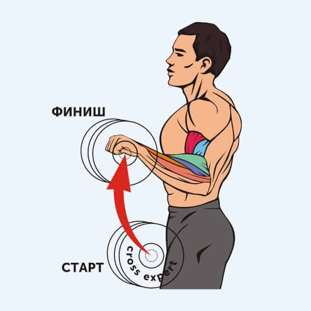 Источник:  Cross.Expert