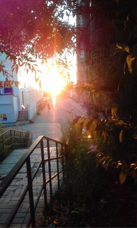 фото автора 