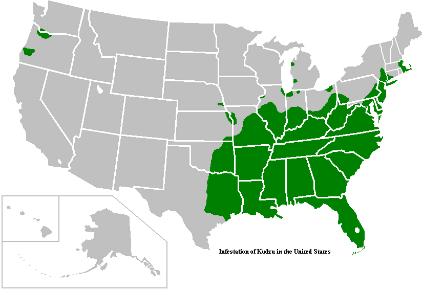 The united states reason for expanding into hawaii was for its location. Леопард ареал обитания. Американский лось ареал обитания. Вапити ареал. Current range.