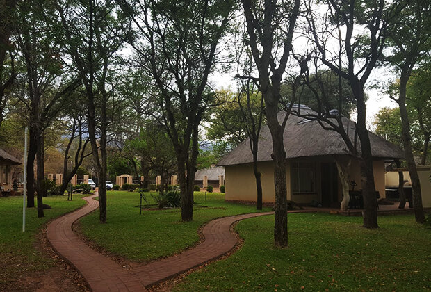 Сафари-лодж на краю национального парка Маракеле Фото: Rra Ditau Lodge / Airbnb