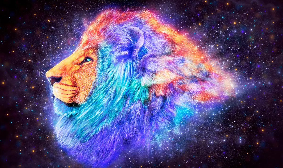 Фото взято с яндекс-картинок