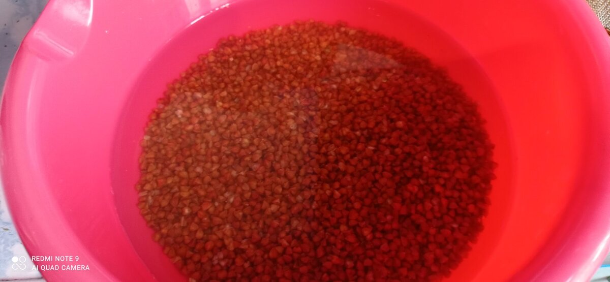 Гречку промыть и оставить в воде набухать.