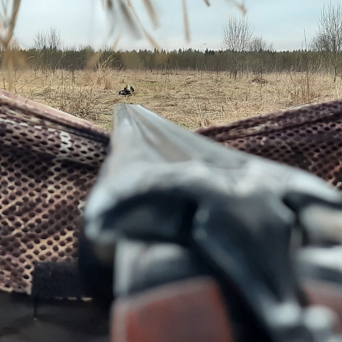 Вот и пришла 54 весна