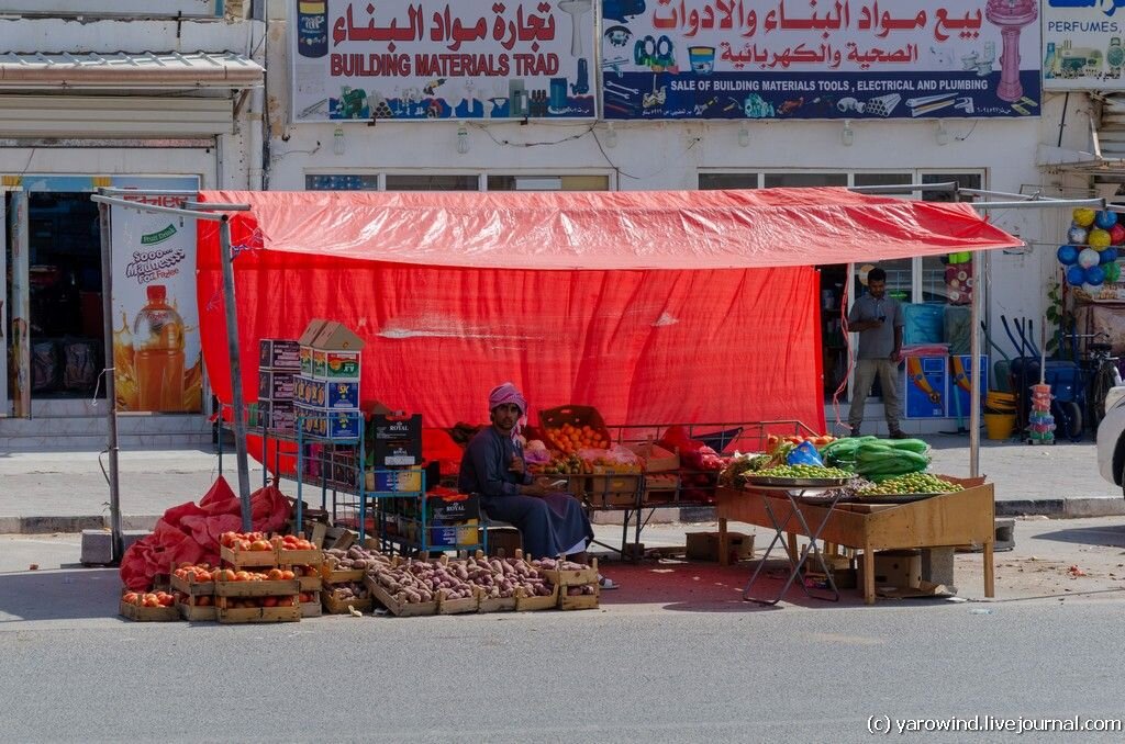 Оман, город Синав, фермеры
