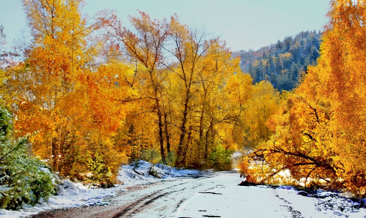 Фотография, стихотворение Василия Глуцкого