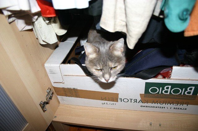 Фото из Интернета.