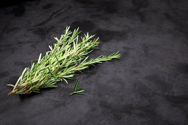 Розмарин ароматен, душист и кустист!