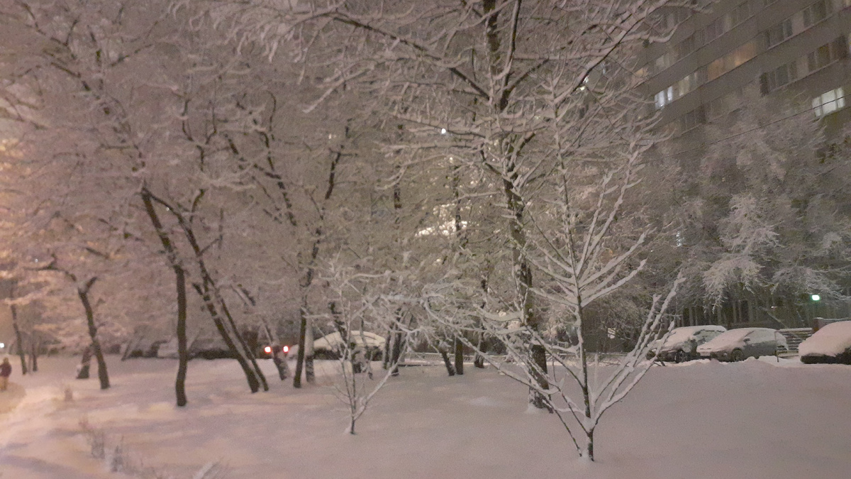 Вот такой апрель нынче