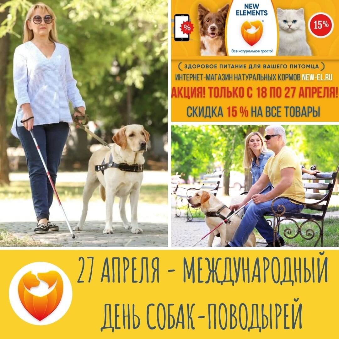 Подпишись на наш канал и получай полезную информацию ежедневно!