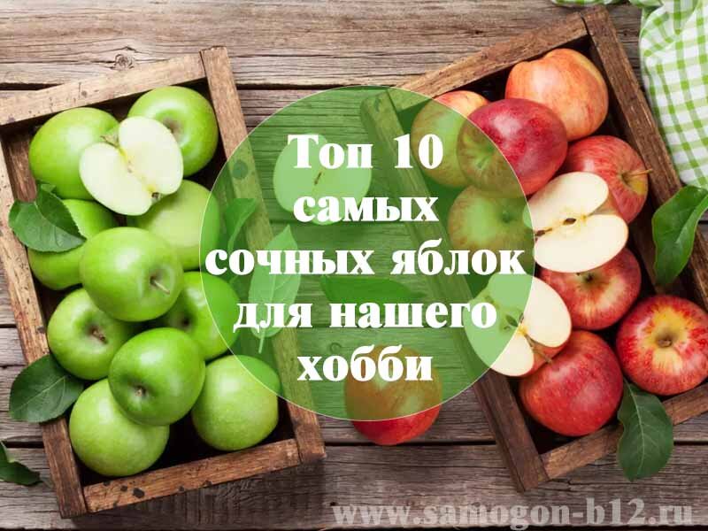 Топ 10 самых сочных 🍏 яблок для нашего хобби 