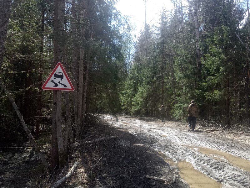 Дорога к Корчелово