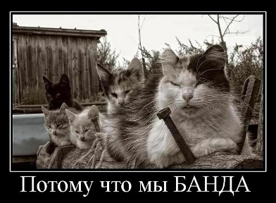 банда импортозамещения