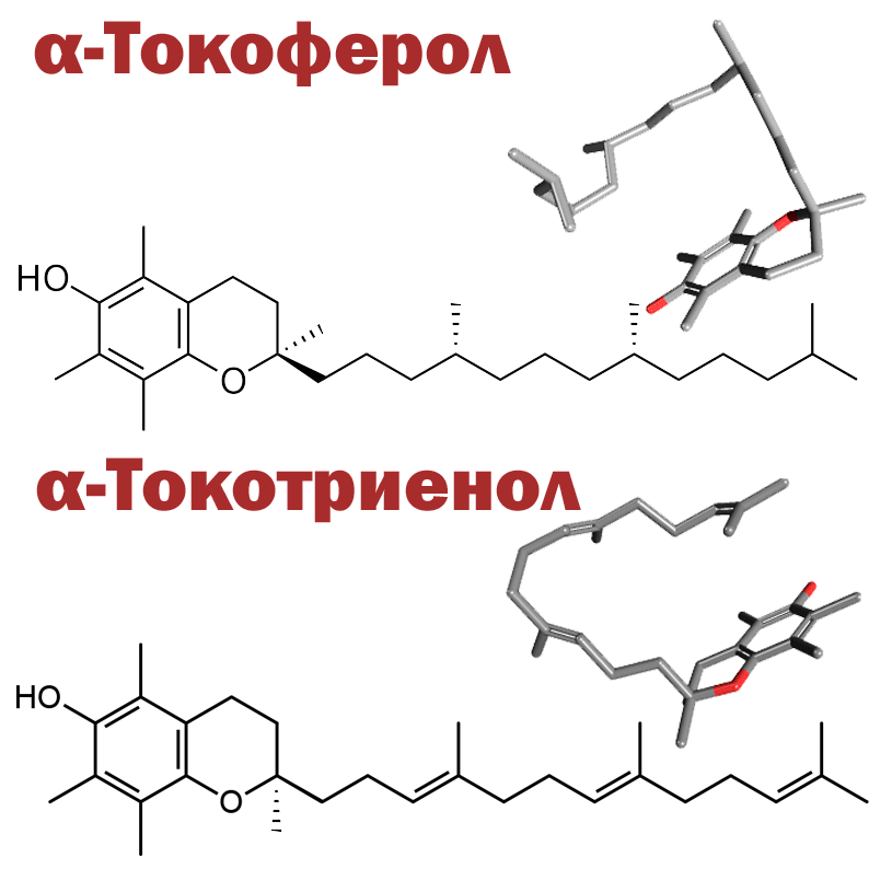 Источник картинки - https://clck.ru/hcJ7k