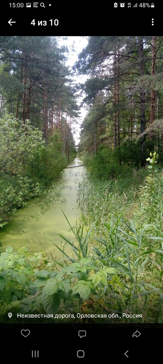Скрин с моей странички https://vk.com/tok_nadezhda красивые болотистые места