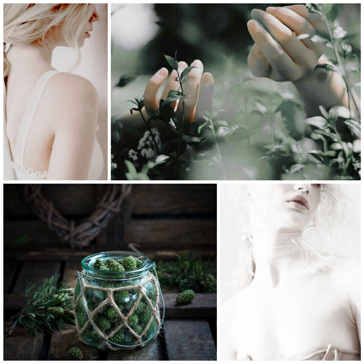 Коллаж автора