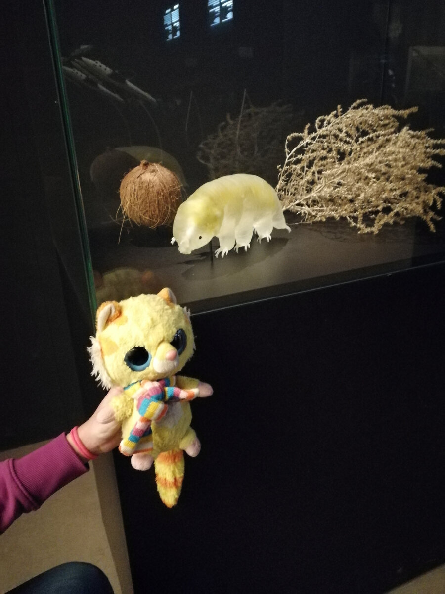 Моня с тихоходкой