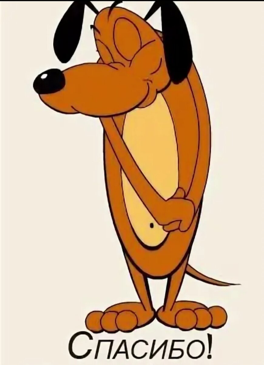 Картинка взята из свободной сети Интернет.