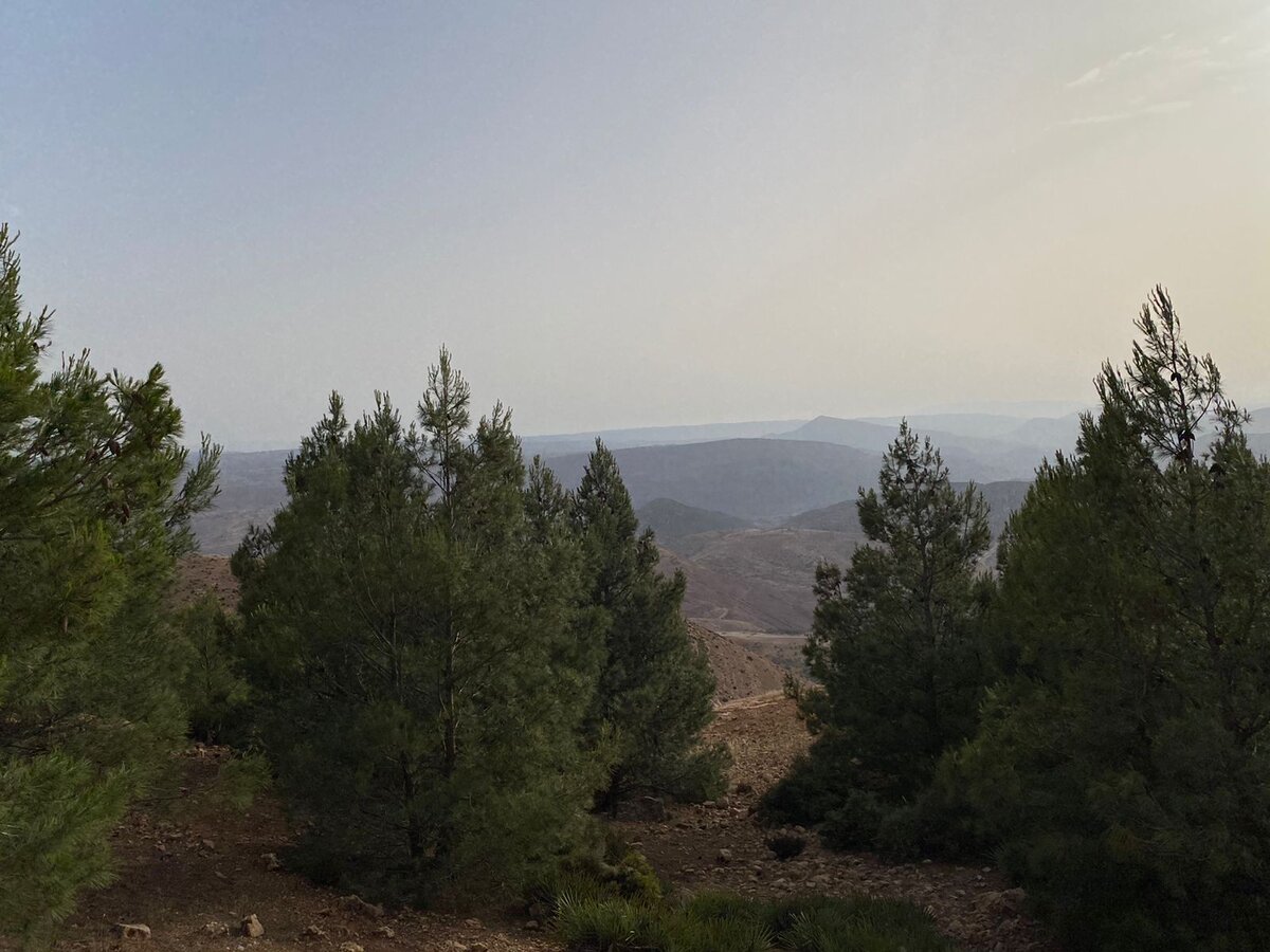 Дендрарий, Эс-Сувейра, Марокко