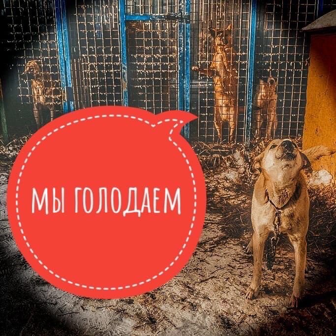 Нам нужна помощь