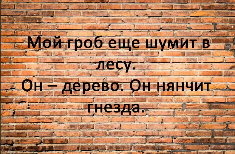 мой гроб ещё шумит в лесу он дерево он нянчит гнёзда. мой гроб еще в лесу он дерево он нянчит гнезда. мой гроб еще в лесу он дерево. мой гроб ещё шумит в лесу он стих. мой гроб еще шумит в лесу.