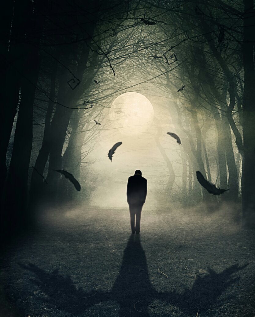 Фотография из интернета. 