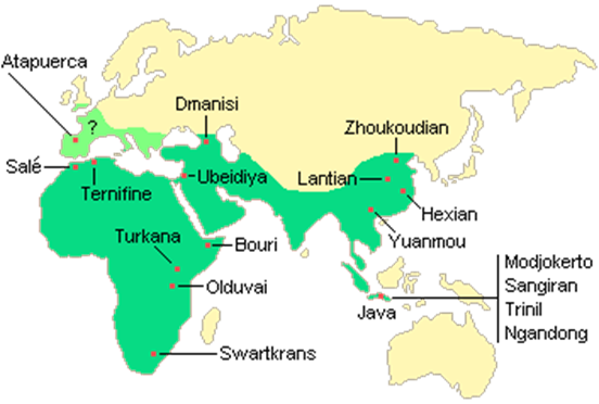 Распространение находок останков человека прямоходящего