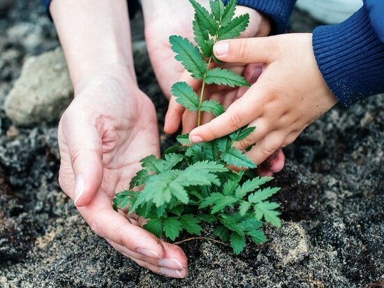 ФОТО: VK.COM НОЯБРЬСКАЯ ЦГБ