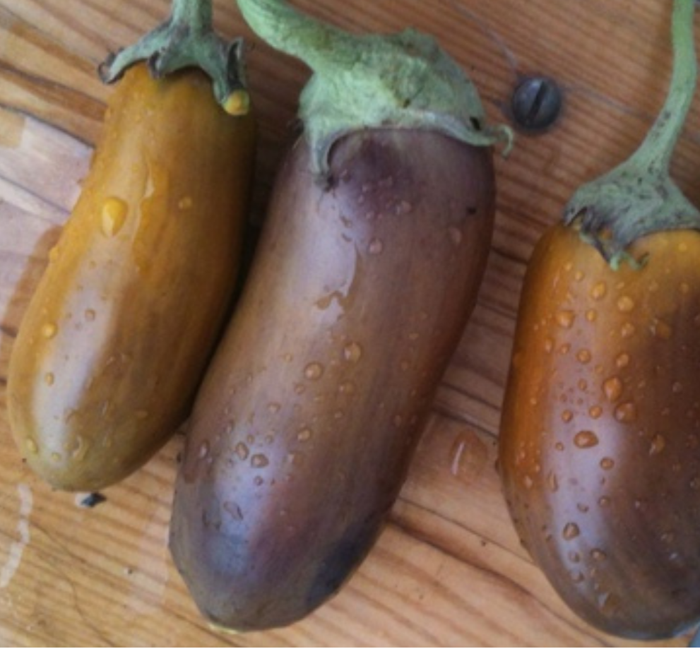 Фото из свободного доступа интернета 