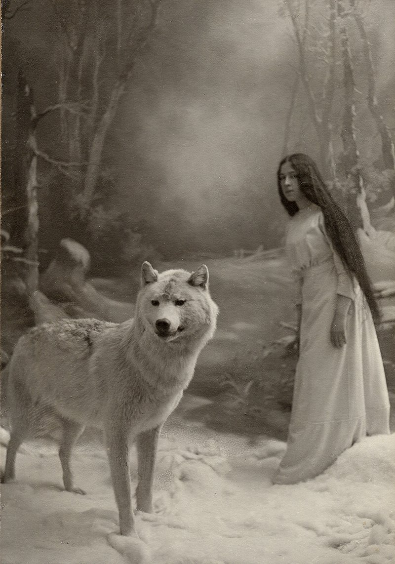 Надежда Ладыгина-Котс с чучелом белого волка, купленным на подаренные на свадьбе деньги.