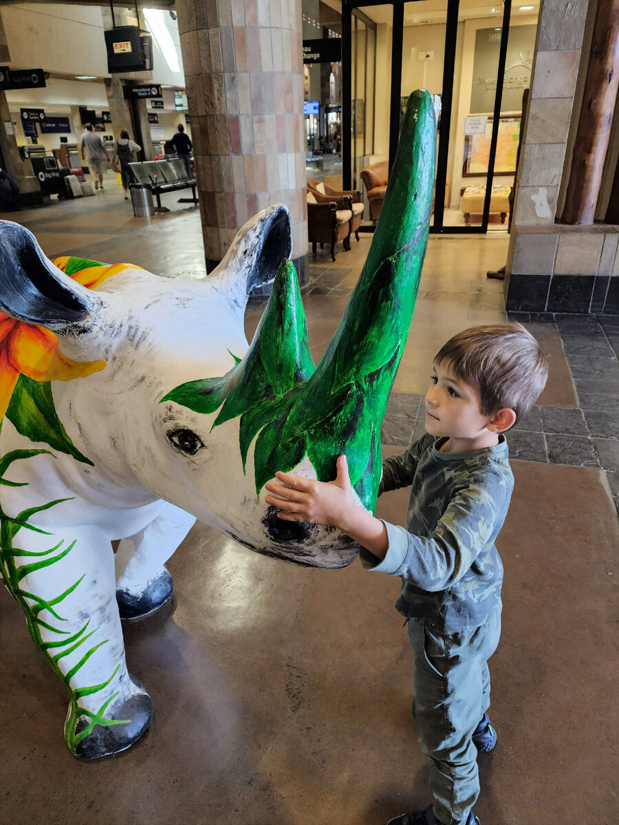 В аэропорту встретили такого носорога)