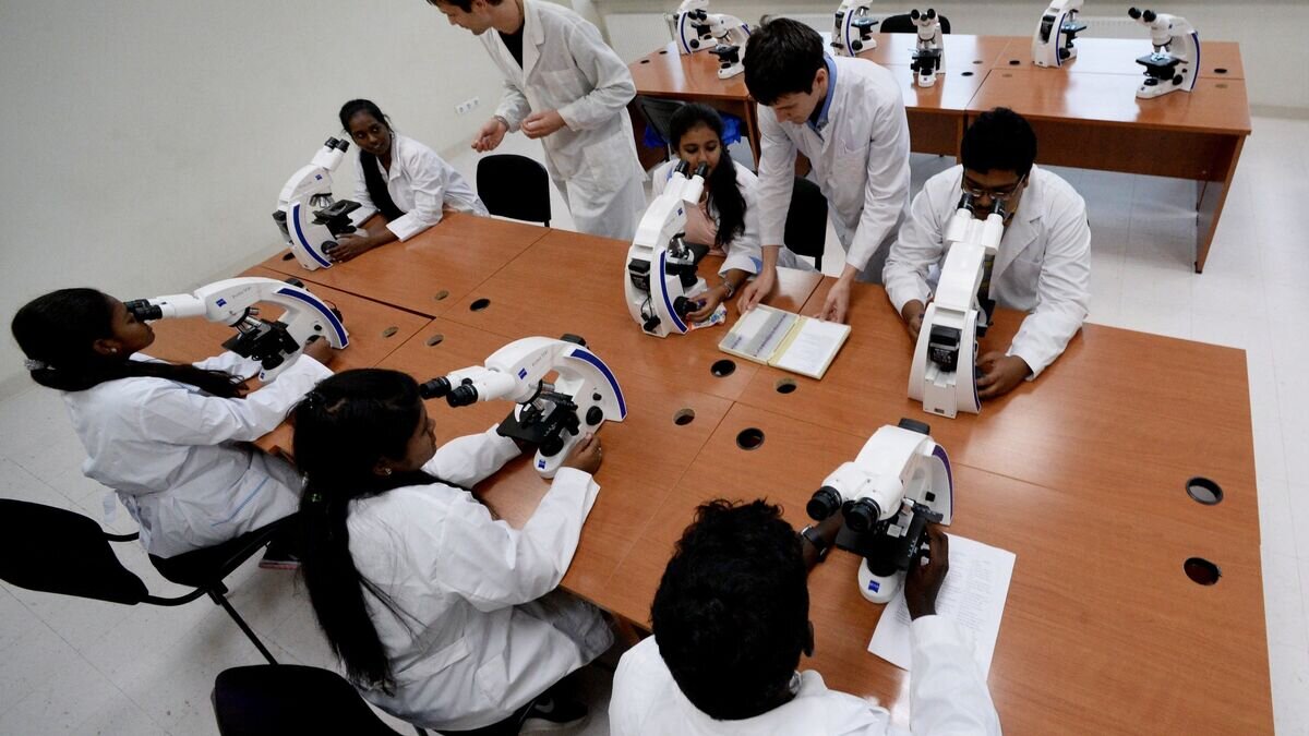    Занятия первой группы студентов из Индии в Дальневосточном федеральном университете© РИА Новости / Виталий Аньков