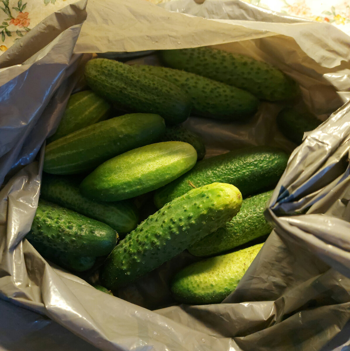 Огурчики я очень люблю