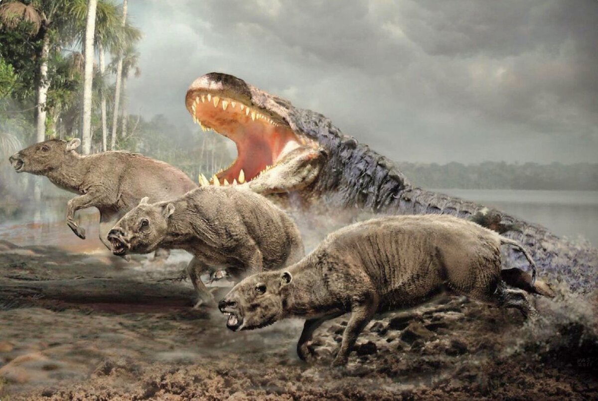 Эй, чипсы, куда же вы?!