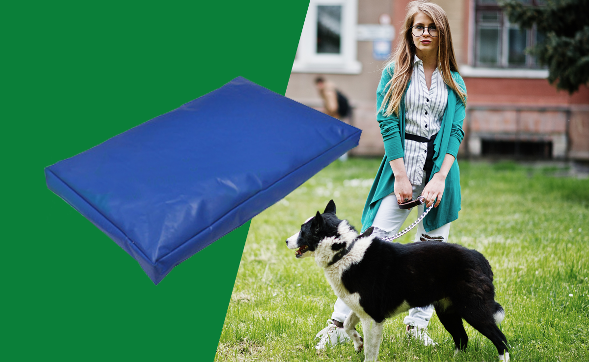 Добавьте описание