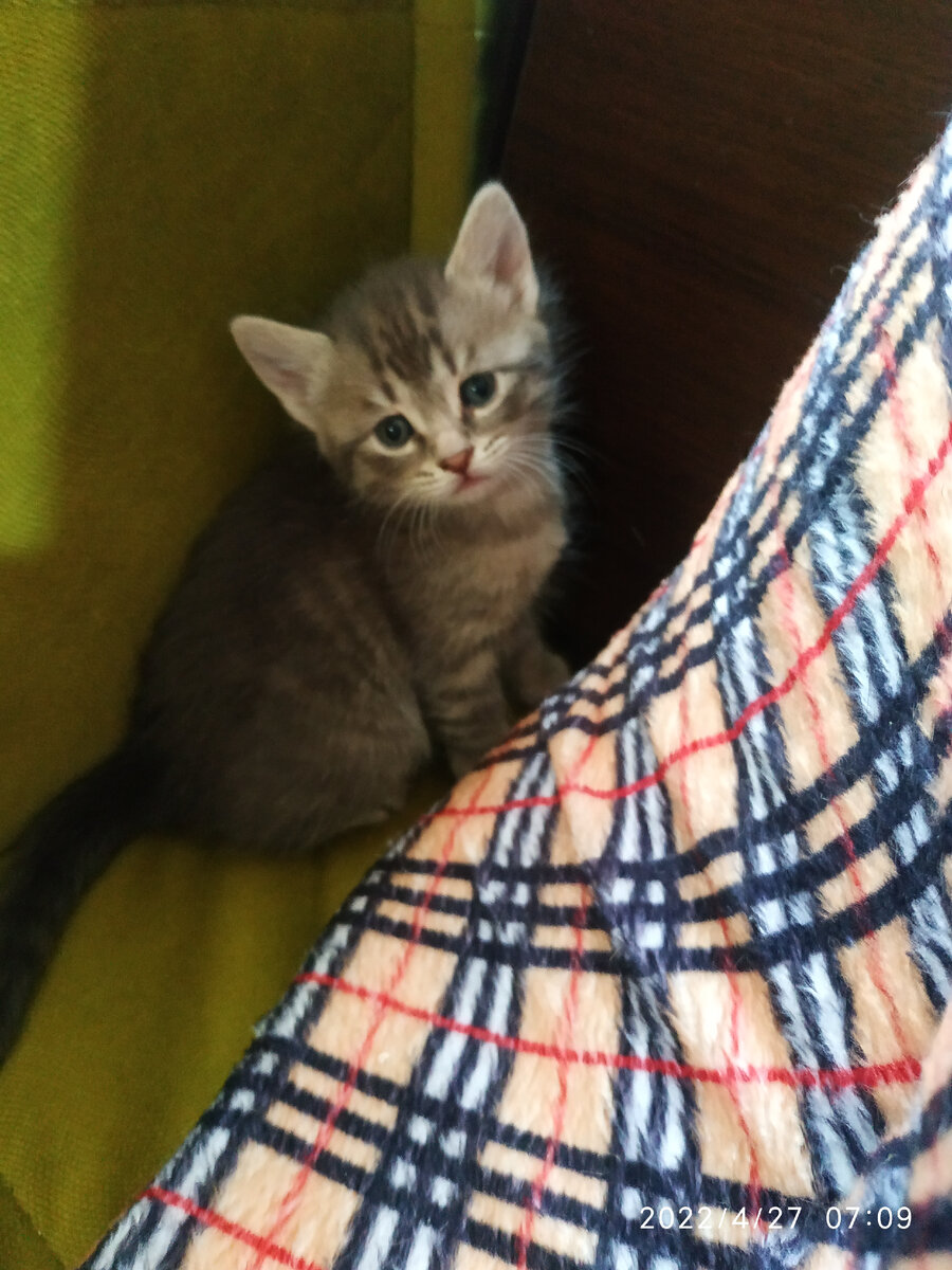 Марусе 1 месяц