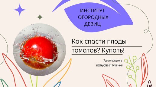 Как спасти плоды томатов? Купать!