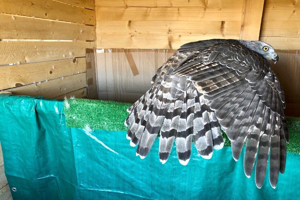     Ответ будет актуален до 22 сентября. Фото: vk.com/crimeriver