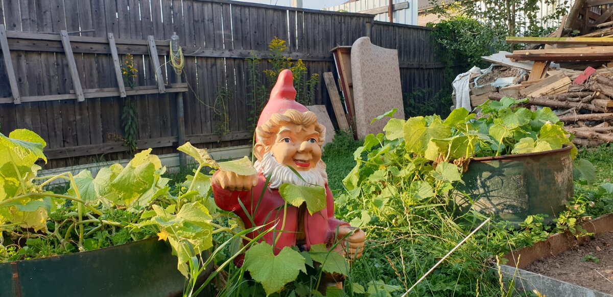 Фото Елены Лабо