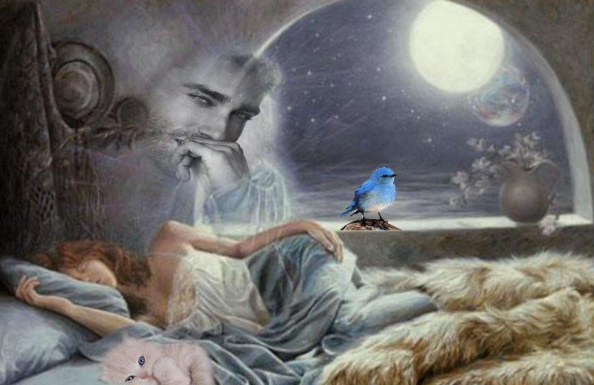 фото из открытых источников.