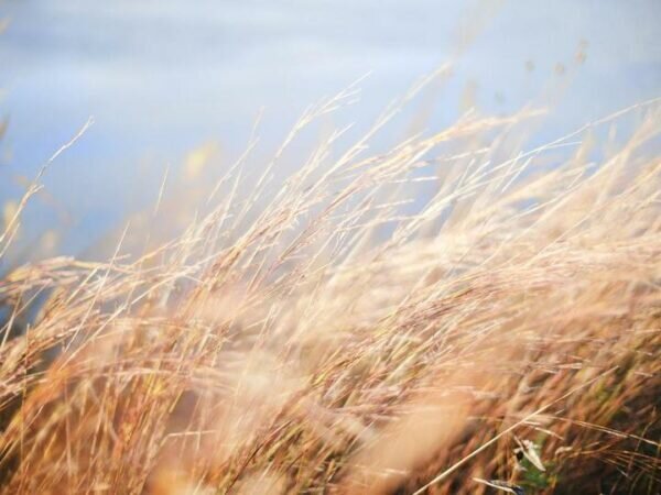    Фото: pixabay.com