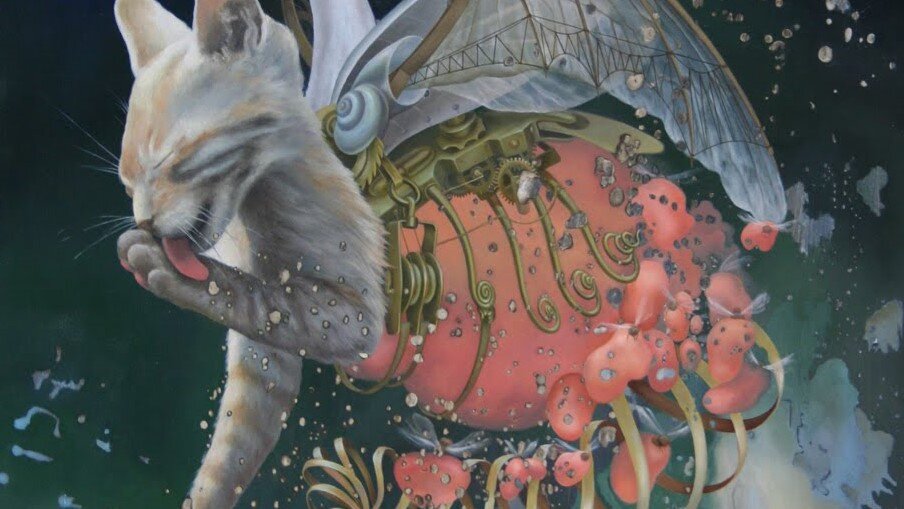 Heidi Taillefer