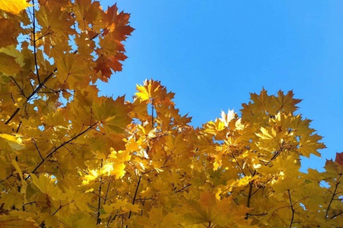    Солнечно и сухо будет в выходные в Нижнем Новгороде