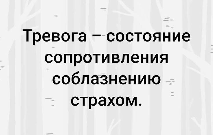 Цитата