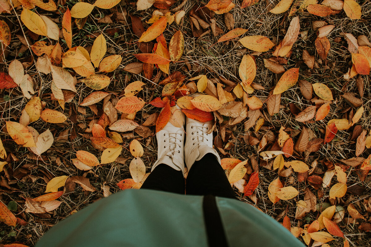 Картинка с бесплатного фотостока https://unsplash.com, автор Roxana Zerni