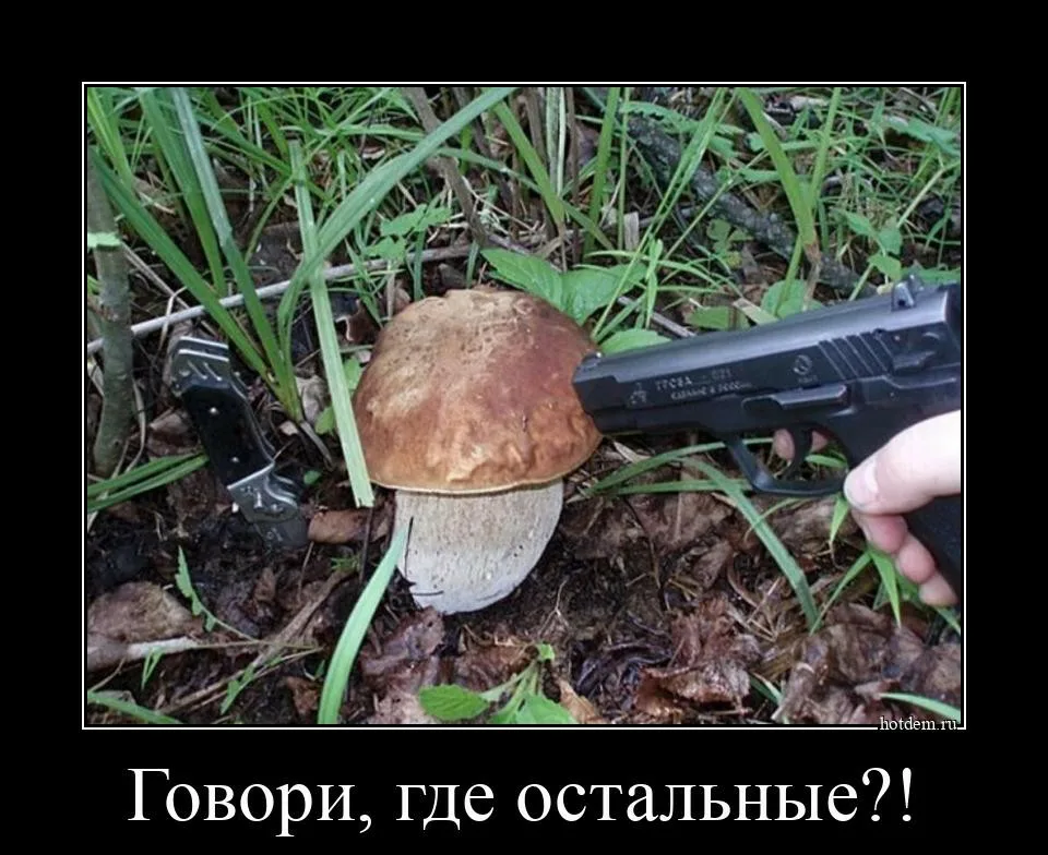 Жаль, что так нельзя..😭