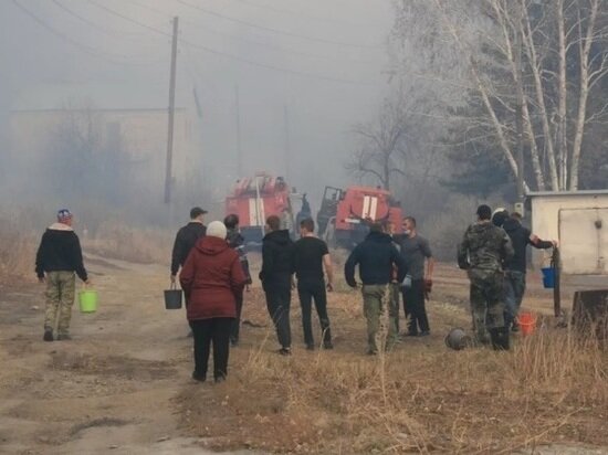     Фото: «Змеиногорский вестник»