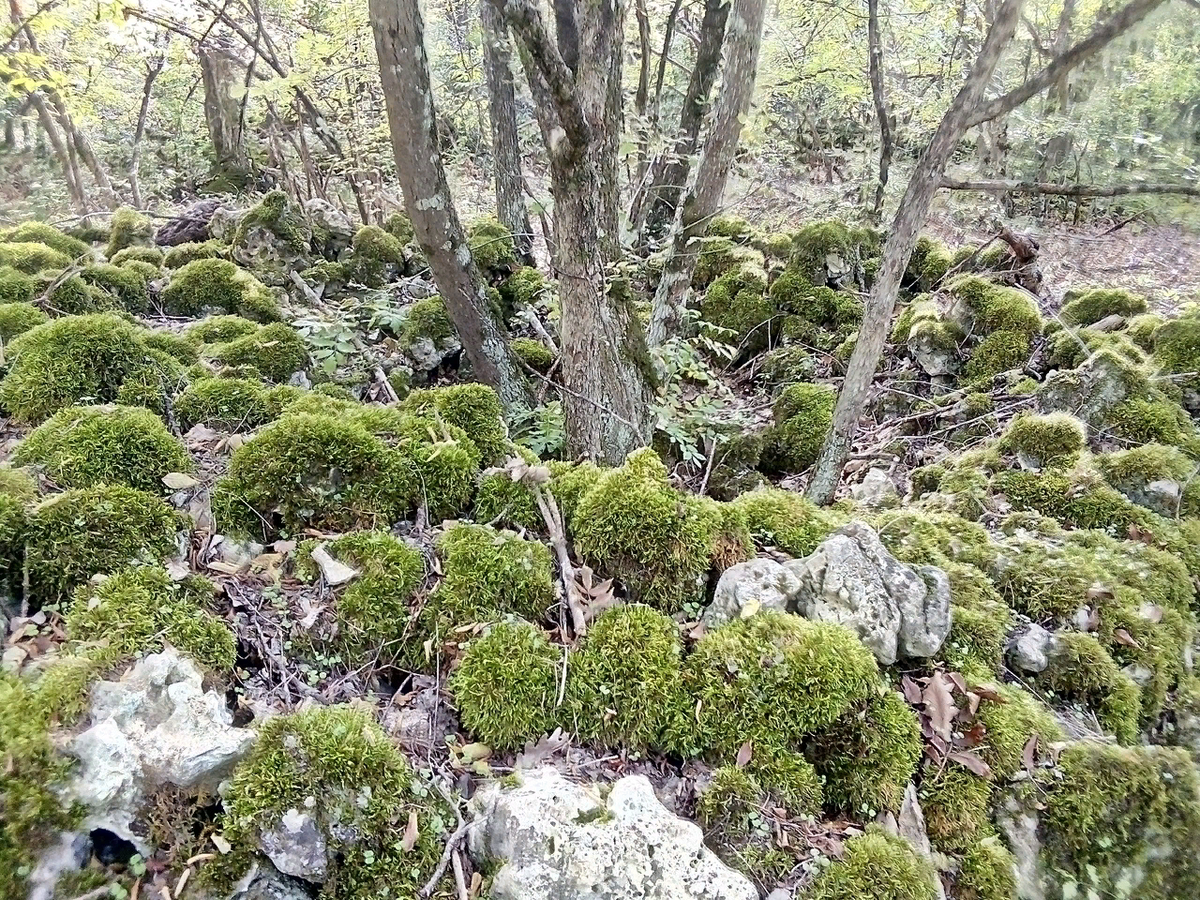 Груды камней на месте строений